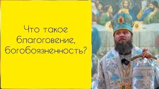 Окамененное нечувствие (жестокосердие) наших сердец 