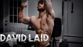 DAVID LAID | Gym Motivation 2020 🔥