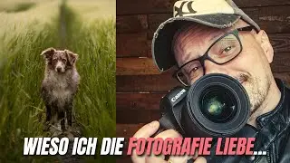 MY JOURNEY TO PHOTOGRAPHY & Dog photo in the field
