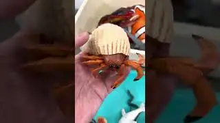 Explore Sea Creature Toys!  