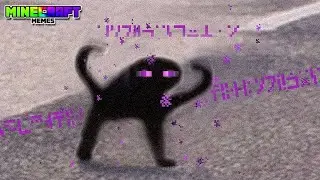 Minecraft MEMES I watch instead of playing Fortnite