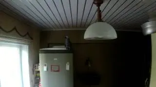 Жако Степа Калуга