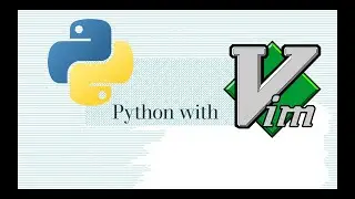 python language server on vi