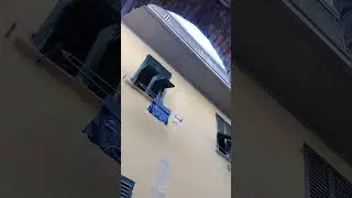 19/07/24 - 16:55 - figlio di Ascione urla PORCA MADONNA a metà del video