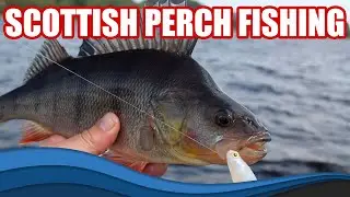 Scottish Lure Fishing for Perch with Jake Schogler