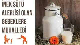 İnek Sütü Alerjisi Olan Bebekler İçin Muhallebi