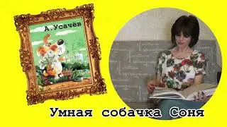 Умная собачка Соня. Продолжение