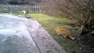 Охота пошла не так ЮМОР ФМ