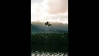 (FREE) Shoreline Mafia x Future Type Beat 