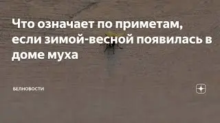 Примета про муху#приметы#приметыисуеверия#мистика#экстрасенсыбитвасильнейших#экстрасенс#битва