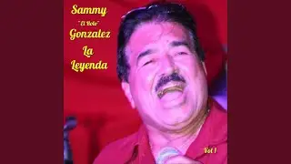 Vestida de Garza Blanca