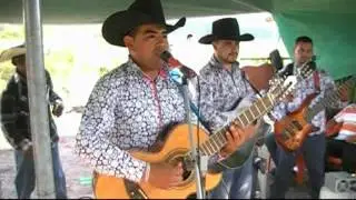LOS DUEÑOS DE LA SIERRA EN BUENAVISTA