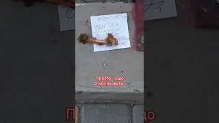Чистая косточка