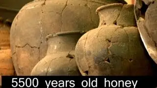 CNC World - Georgian ancient honey