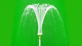 4k green video.