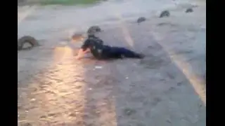 ПЬЯНЫЙ БОМЖ НАЧАЛА СВОЕЙ ЖИЗНИ