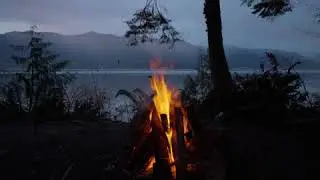 ASMR Звуки Костра, Леса и Дождя / Open-Air Relaxation: ASMR Sounds of Campfire, Forest, and Rain