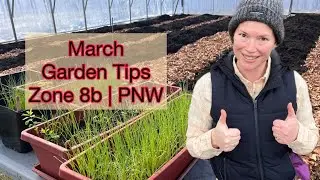 March Gardening Tips/Tasks and Seeds to Start | Zone 8b | PNW