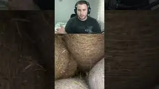 GDE JE NESTAO?