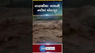 અમરેલીના ખાંભાના તાતણીયા ગામની નદીમાં પૂર આવતા પ્રખ્યાત ખોડિયાર મંદિર થયું જળમગ્ન