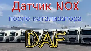 Diagnostics of the NOX sensor after the DAF Euro 6 catalytic converter