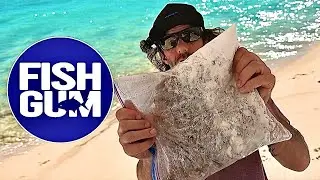 Could This Change The Way Surf Fisherman Buy Bait? OP Bait Soak in BULK.