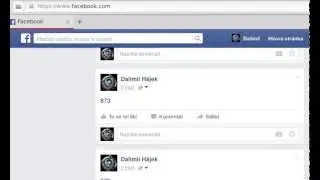 Facebook 2015+1 (Dalimil Hajek's project)