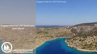 Introduction to the Aegean Marine Life Sanctuary