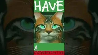 Have a nice cat