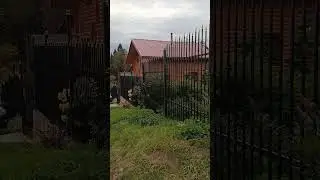 Пермский край деревня Жебреи СНТ ,,Чистые ключи "#урал #дача #лес #осень