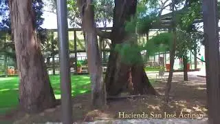 Hacienda San Juan Actopan 1