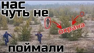 Чем закончился наш поход за ёлкой/побег от охраны/не делайте так