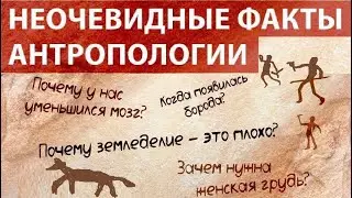 🐵 Сударикова Е. Антропология Homo Sapiens, какой мы её не знали...