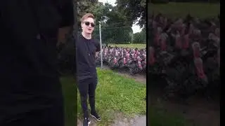 Guy Makes Gobbling Sound at Group of Turkeys Who Respond Together - 1067747