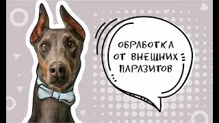 Средство от блох
