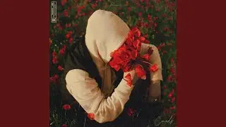 À travers le vent