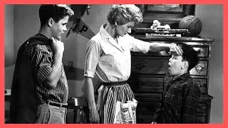 The Enduring Myths of the 1950s People Should Unlearn