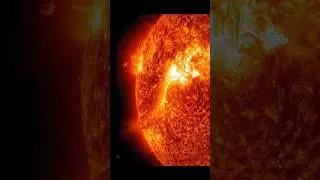 Факты #evidence #facts #познавательныефакты #факты #новое #интересно
