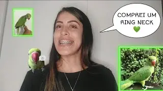 COMPREI UM RING NECK BEBÊ - ELE É MANSO OU ARRISCO???  #pet