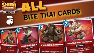 SHIBA ETERNITY Bite Thai ALL Discipline Cards HD