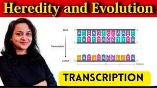 HEREDITY AND EVOLUTION | PART 4 | CLASS 10 | MAHARASHTRA BOARD