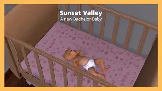 A new Bachelor Baby // Sims 2 Sunset Valley #12