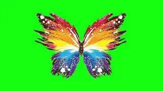 Flying Butterfly Effect |  Green screen Video | Green Screen Effects | VFX Animation