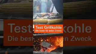 Test Grillkohle 2024: Die besten Grillkohlen und Grillbriketts für jeden Zweck (Stiftung Warentest)