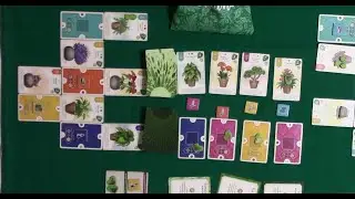 Играем в настольную игру Зелёный Дом