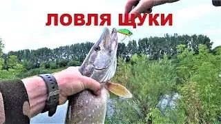 THE PIKE FISHING ON THE DON