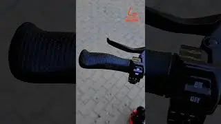 KUGOO G2 PRO