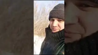 15 мая 2024 г.