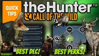 The Best Tips & Tricks Guide For New Players In The Hunter Call of the wild 2023