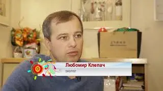Вермикомпостирование в квартире